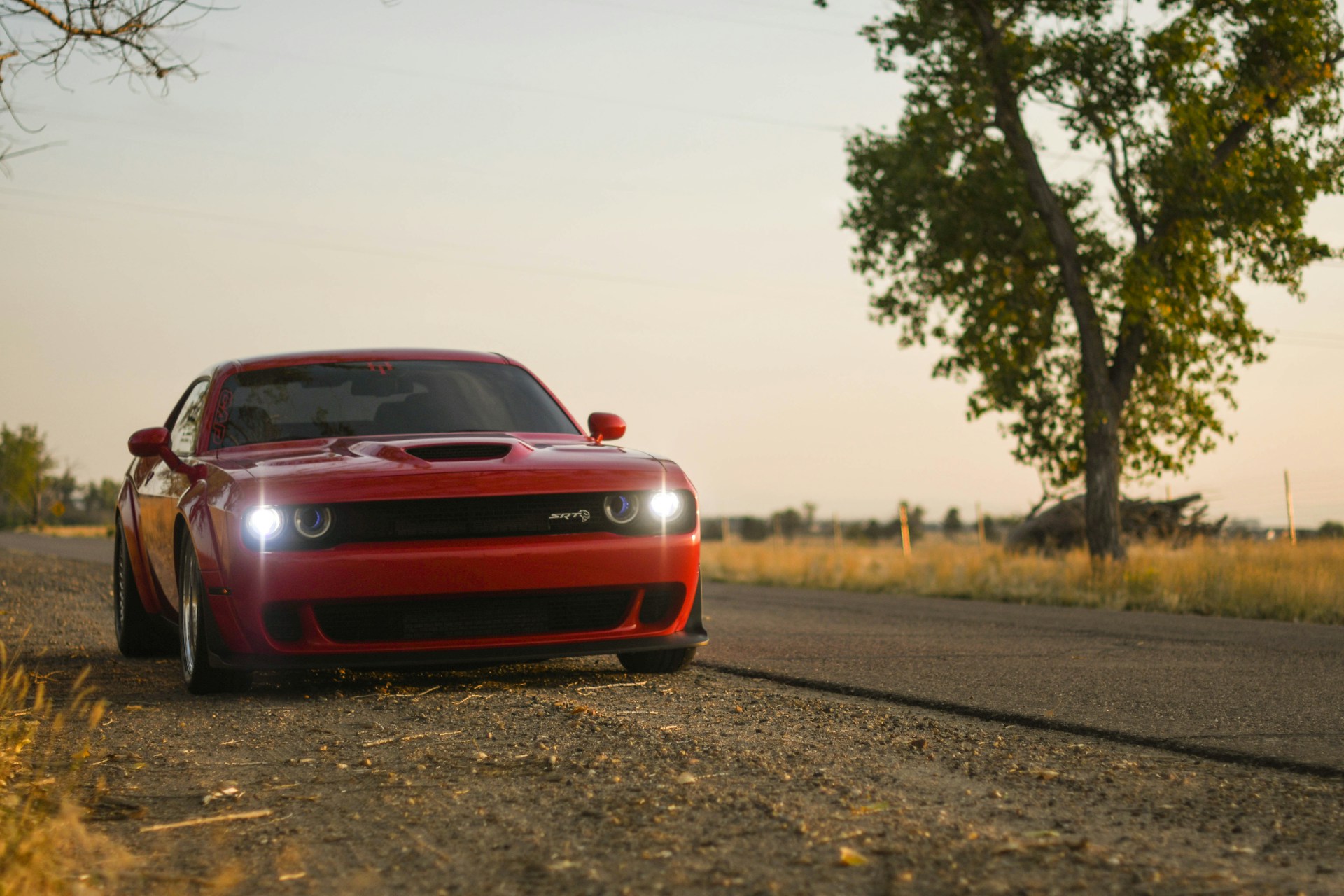 Dodge