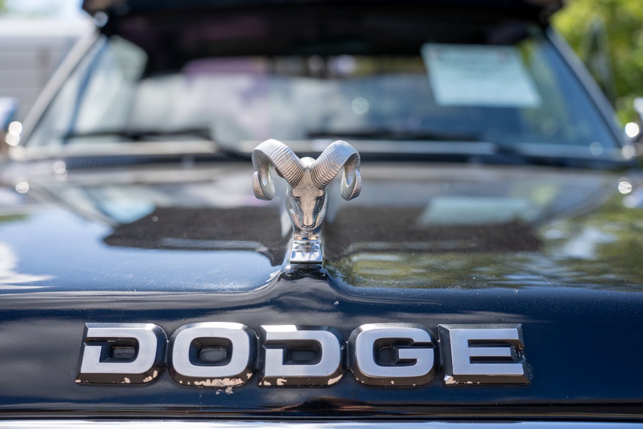 Dodge