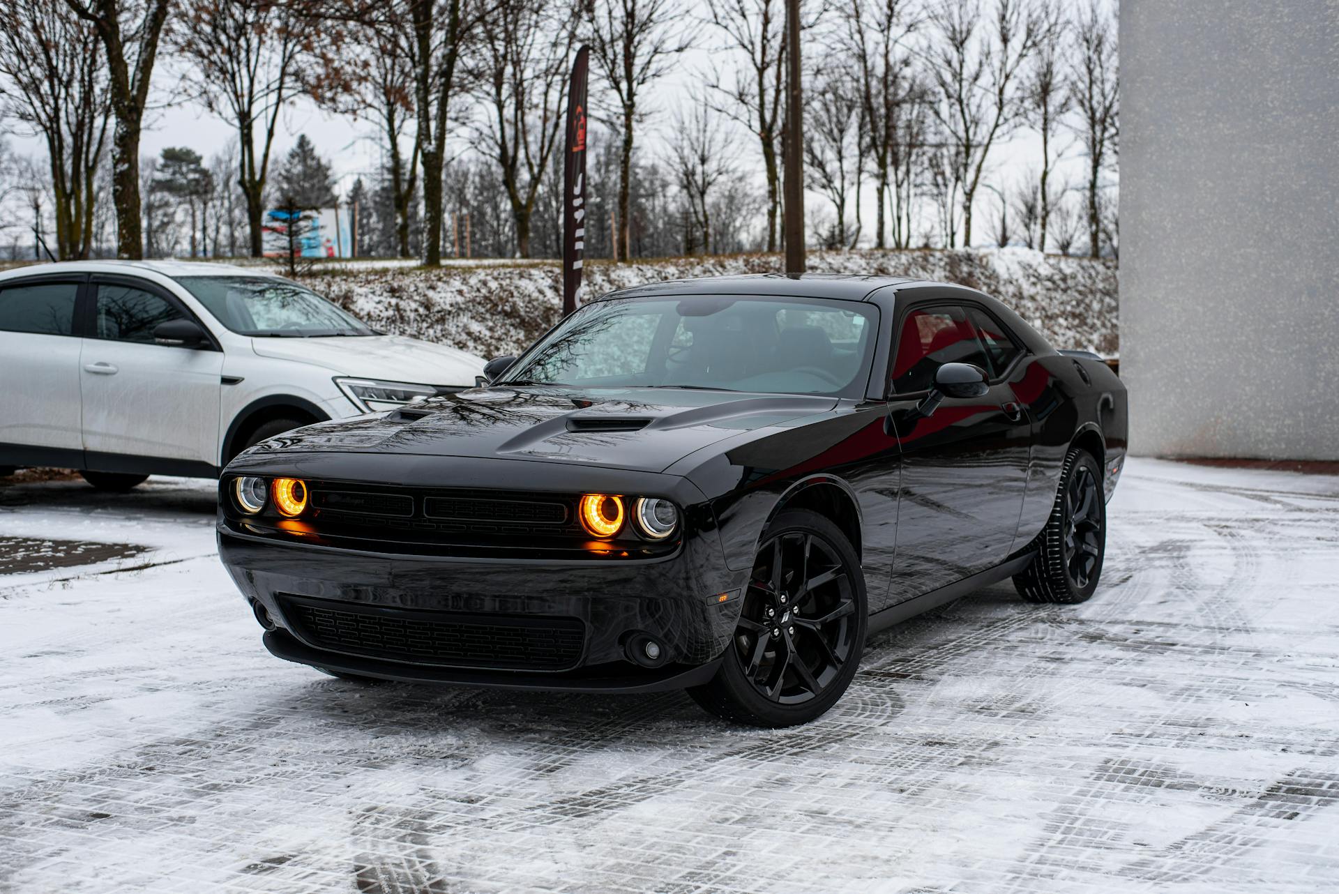 Dodge